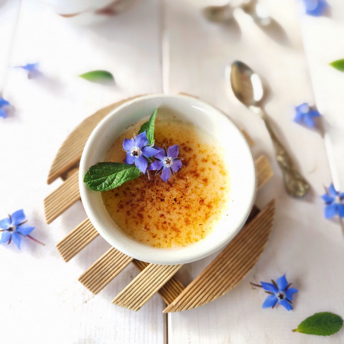 Panna cotta -brûleè