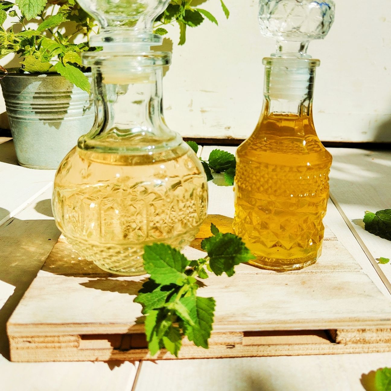 Olio ed aceto alla melissa