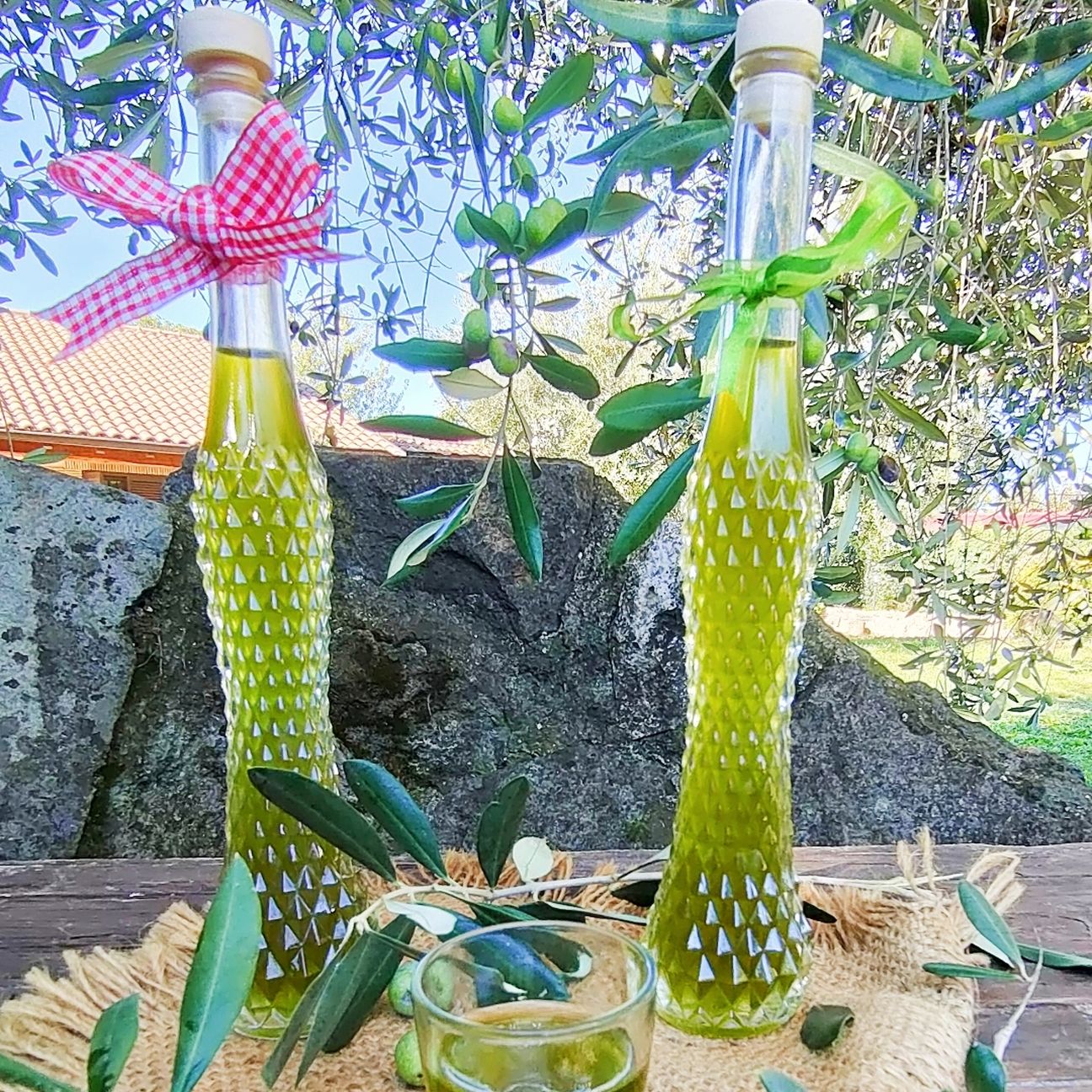 Liquore alle foglie di Olivo
