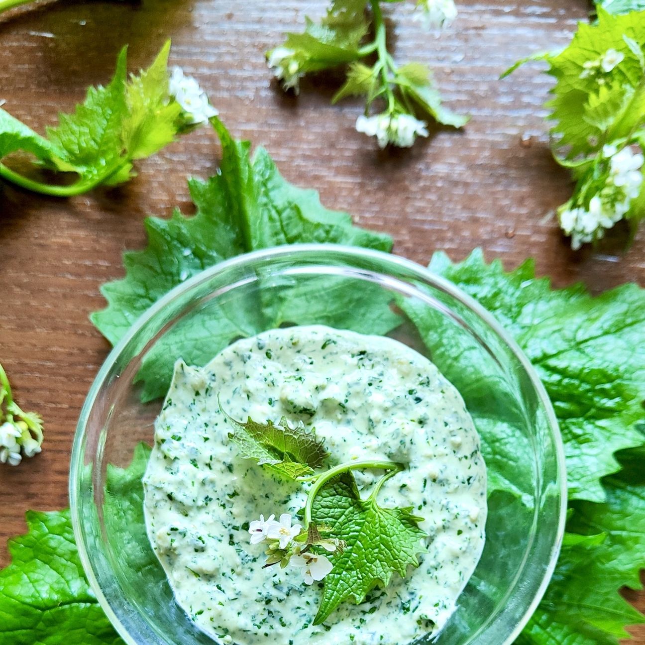 Pesto di Alliaria