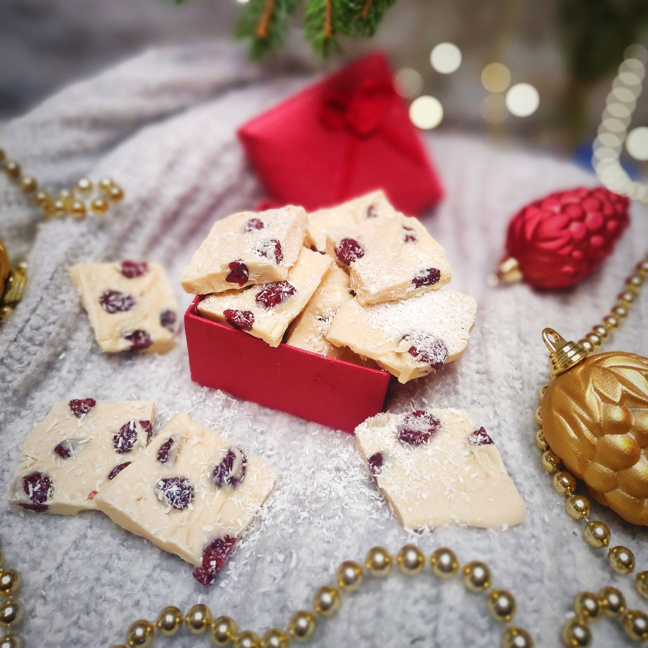 Cioccolatini con mirtilli e cocco rape'