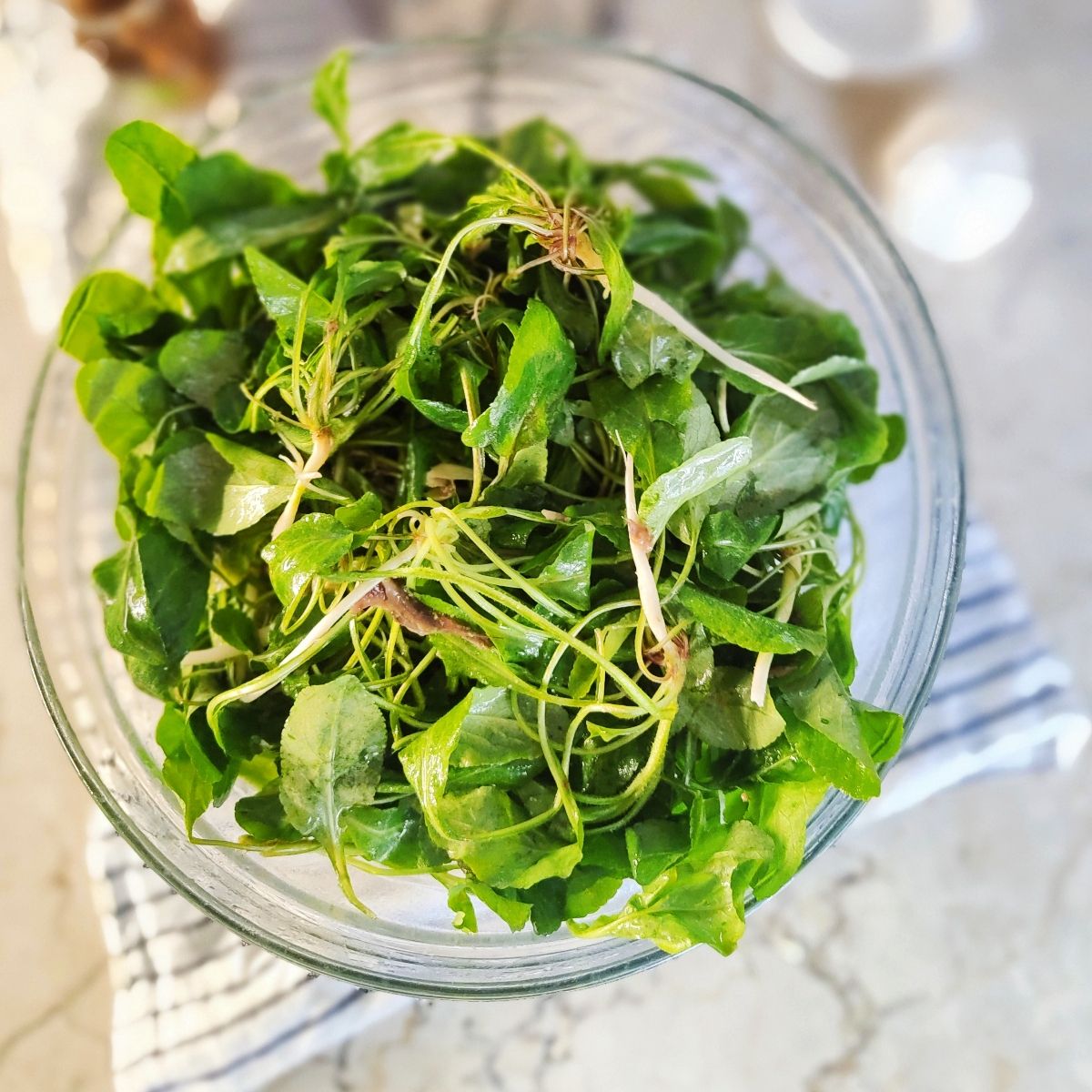 Raponzoli con salsa di acciughe