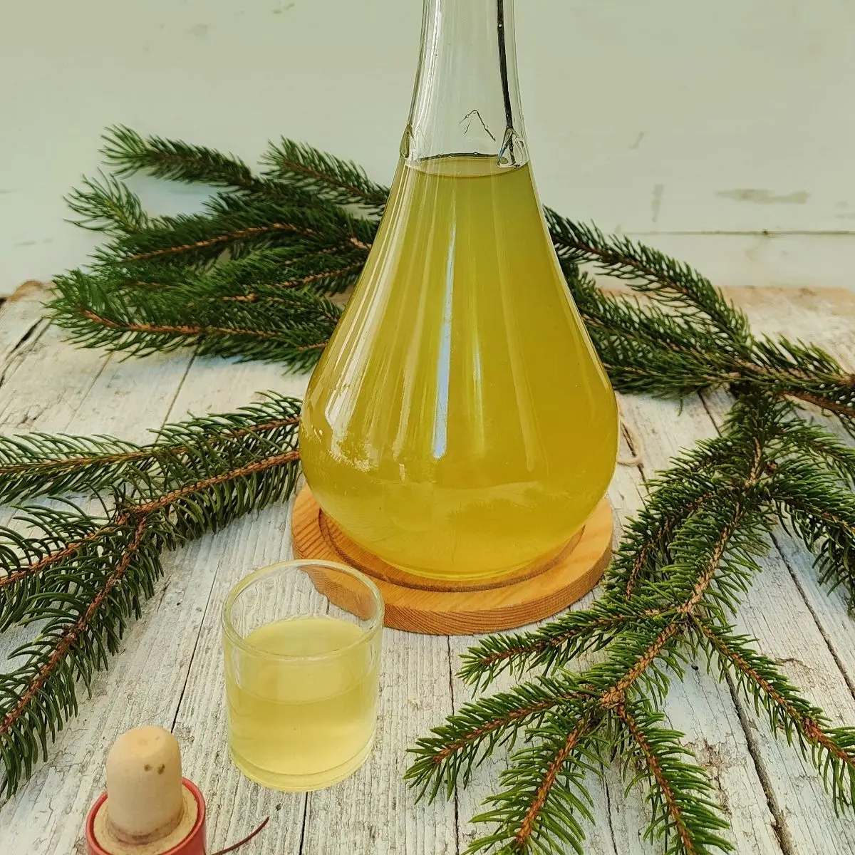 Ricetta Liquore alle gemme di abete rosso di _paola_catalano