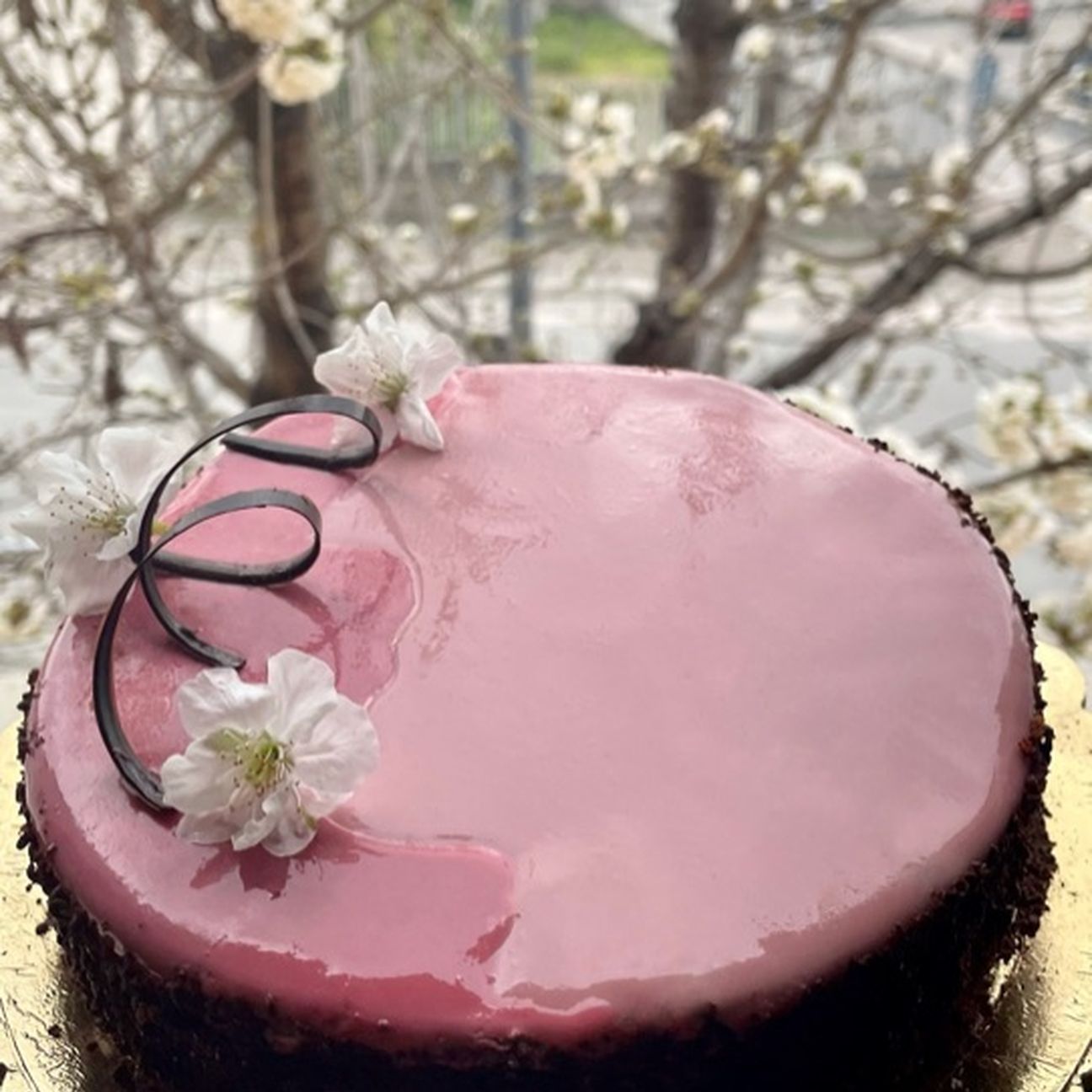 Torta moderna fragole e cioccolato