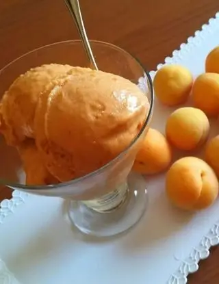 Ricetta Gelato al gusto albicocca di anna_di_meo