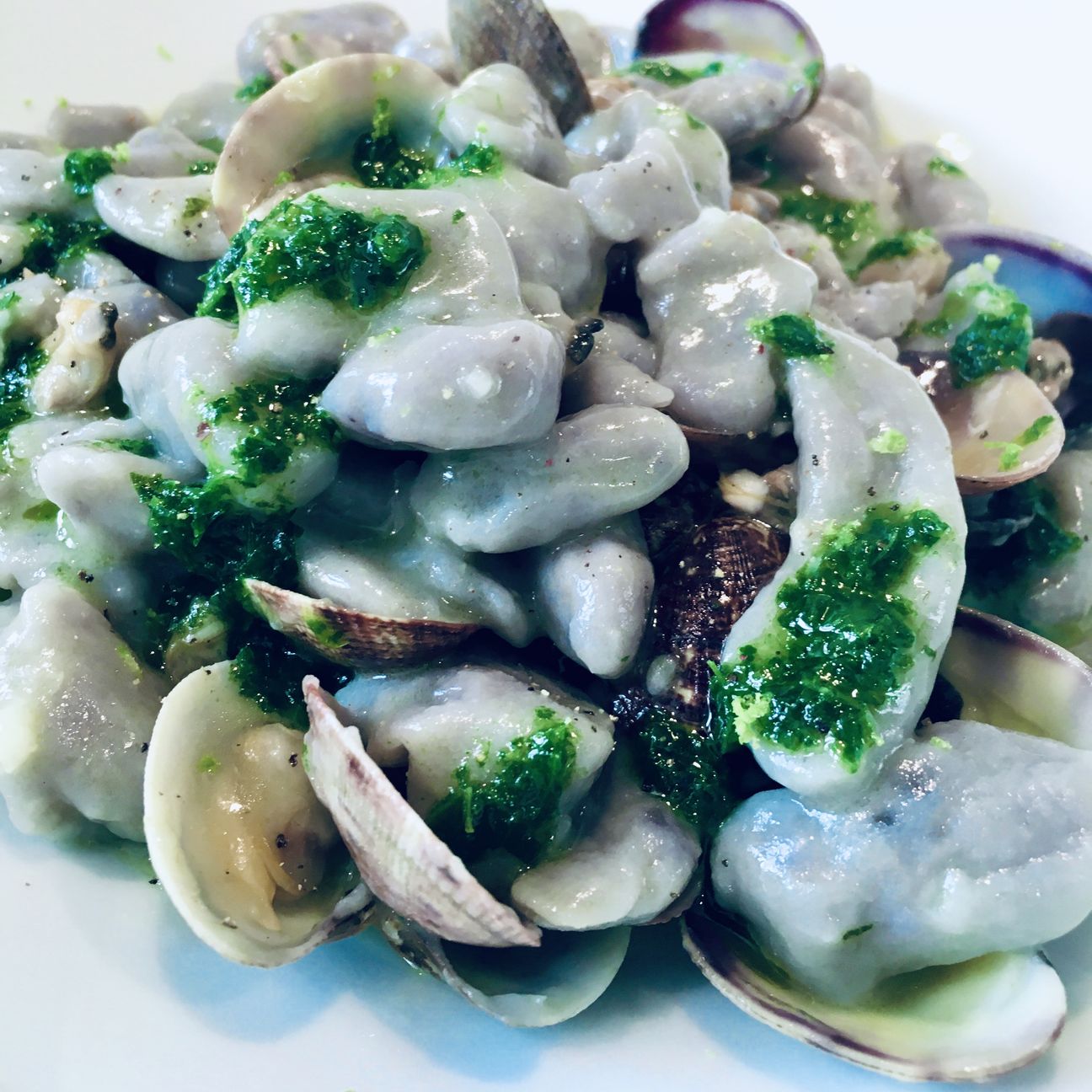 🍠ɠŋơƈƈɧı ɖı ℘ąɬąɬɛ ۷ıơƖą ɛ ۷ơŋɠơƖɛ🍠