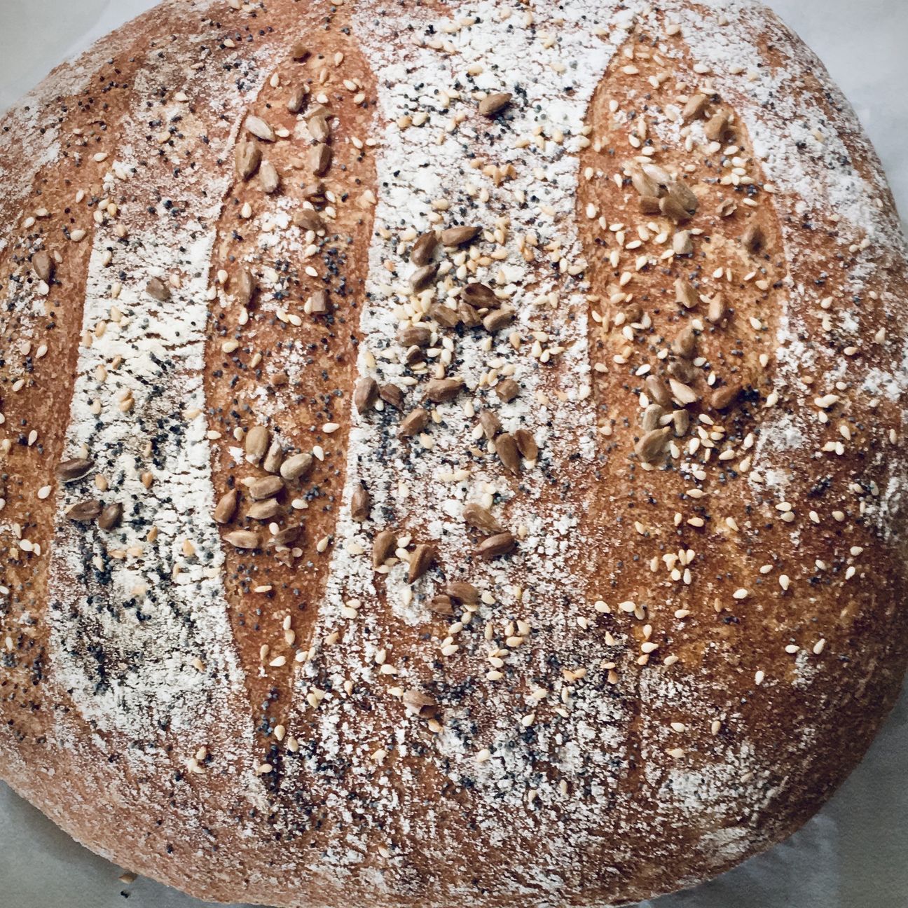 🥖Pane di Altamura 🥖
