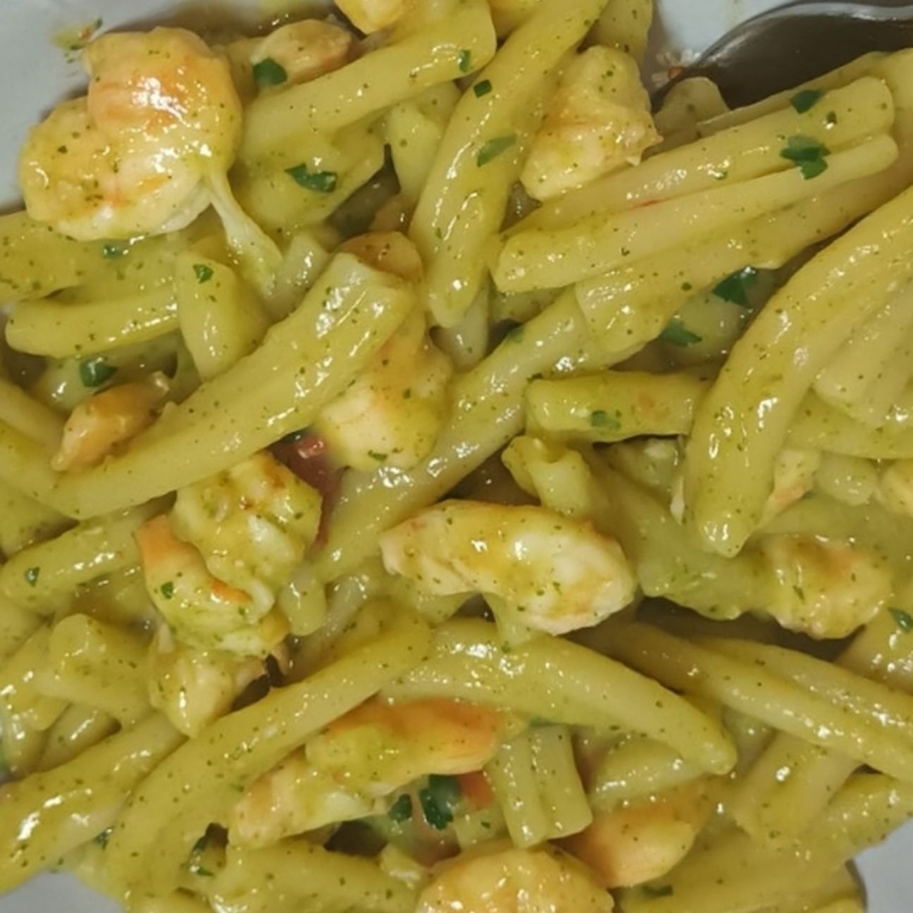 Casereccie con crema di zucchina e gamberetti