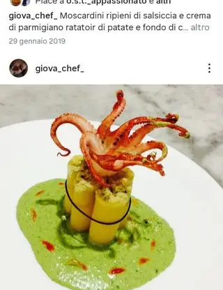 Ricetta Paccheri ripieni di pesce spada su vellutata di basilico di jova77