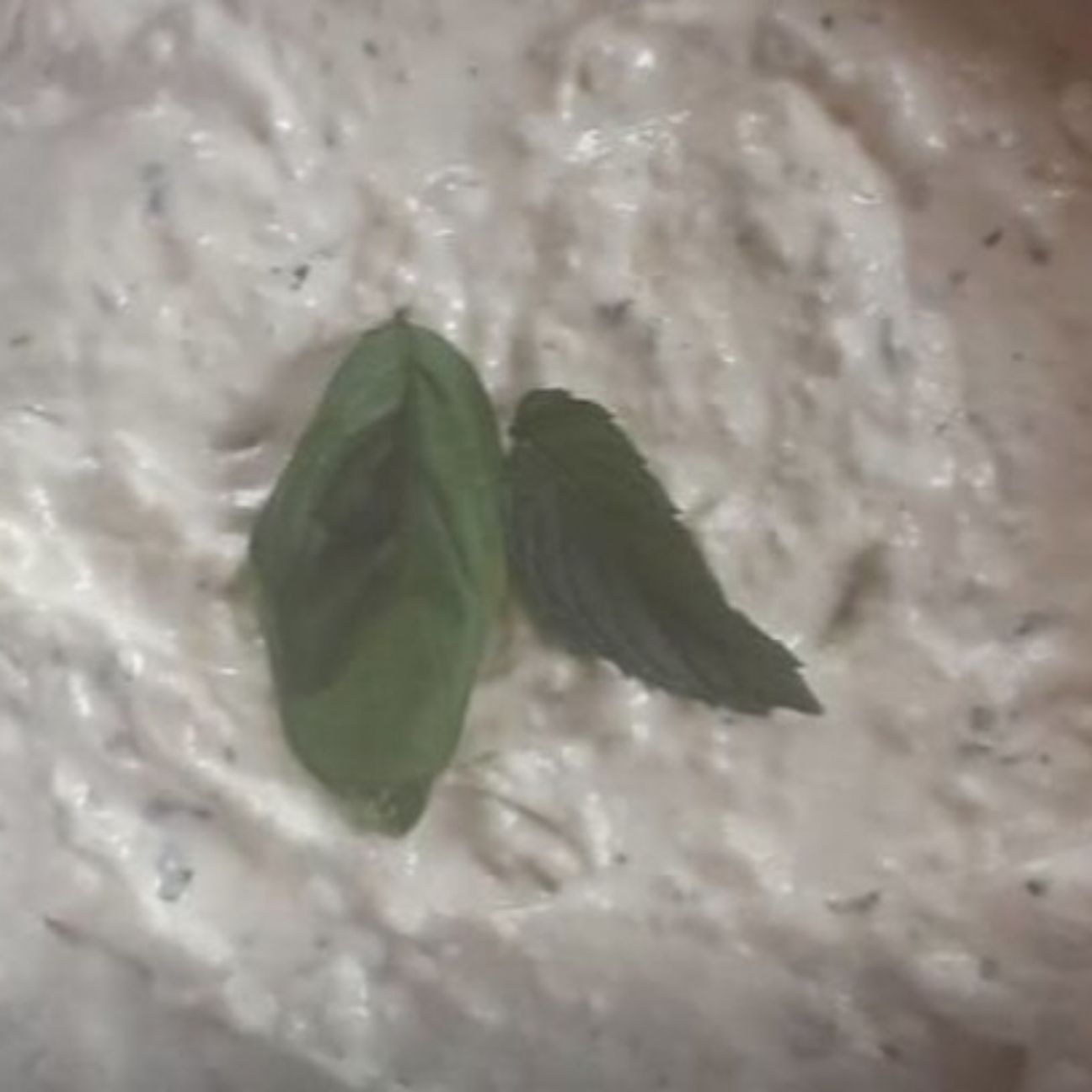 Hummus di formaggi e mazzetto degli odori