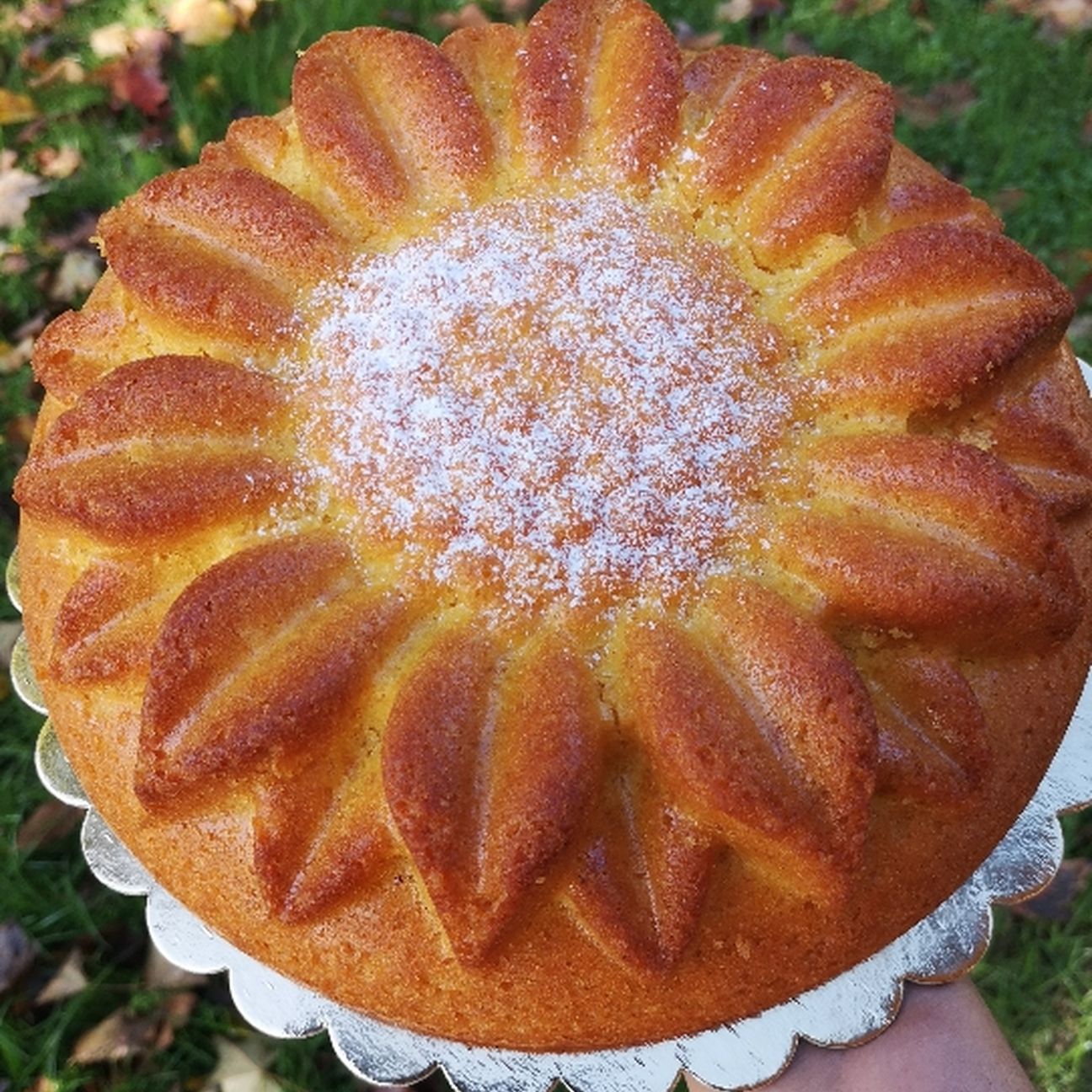 Ciambellone girasole