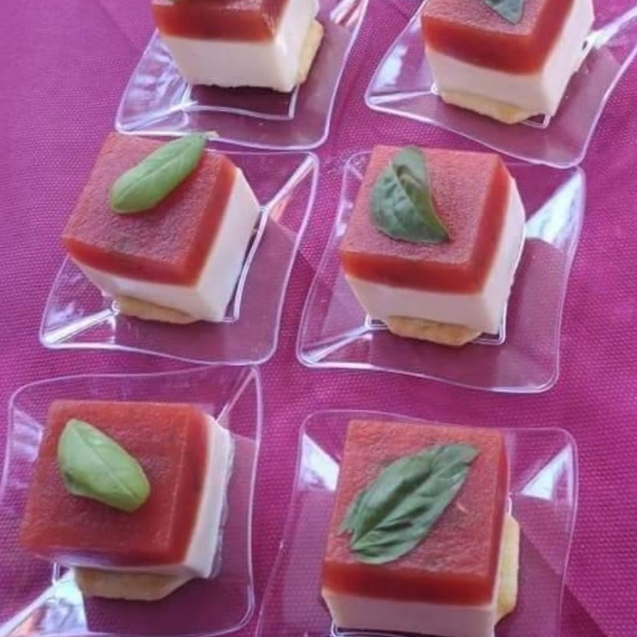 Panna cotta salata