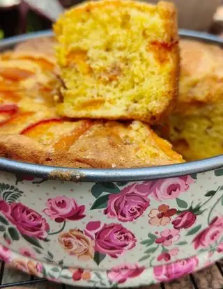 Ricetta Torta con albicocche e amaretti senza burro di marina3