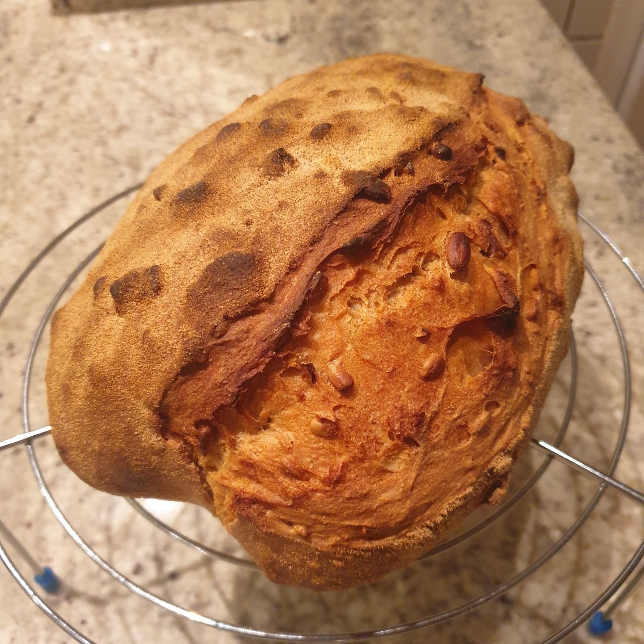 Pane ai semi
