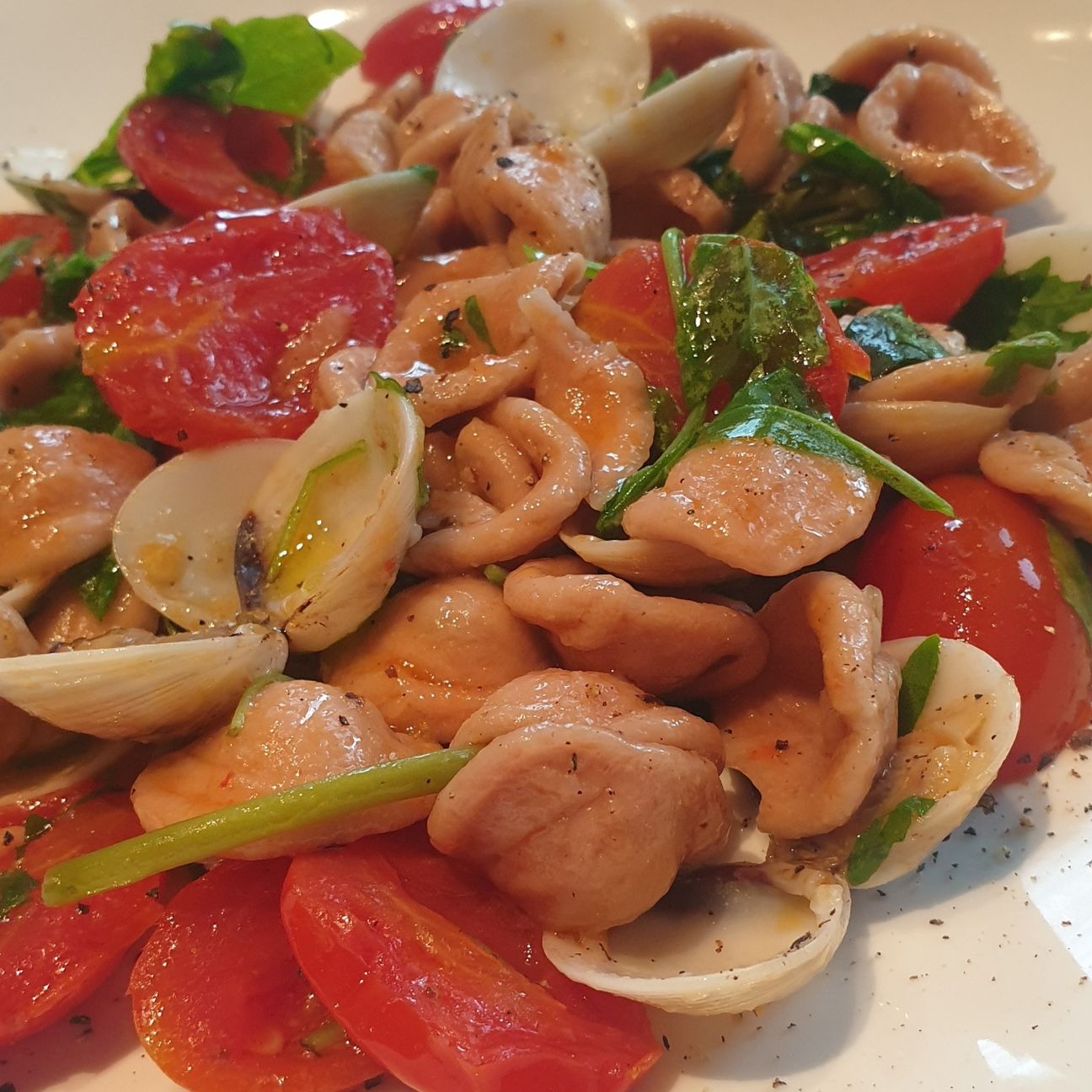 Orecchiette al Primitivo di Manduria con vongole, datterini e rucola