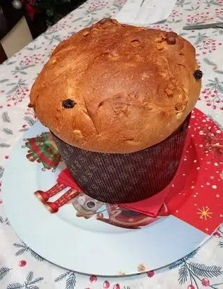 Ricetta La mia proposta di panettone 2024 di monello