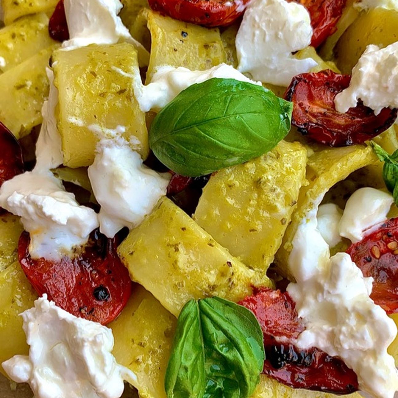 Calamarata con pesto, pomodorini confit e burrata