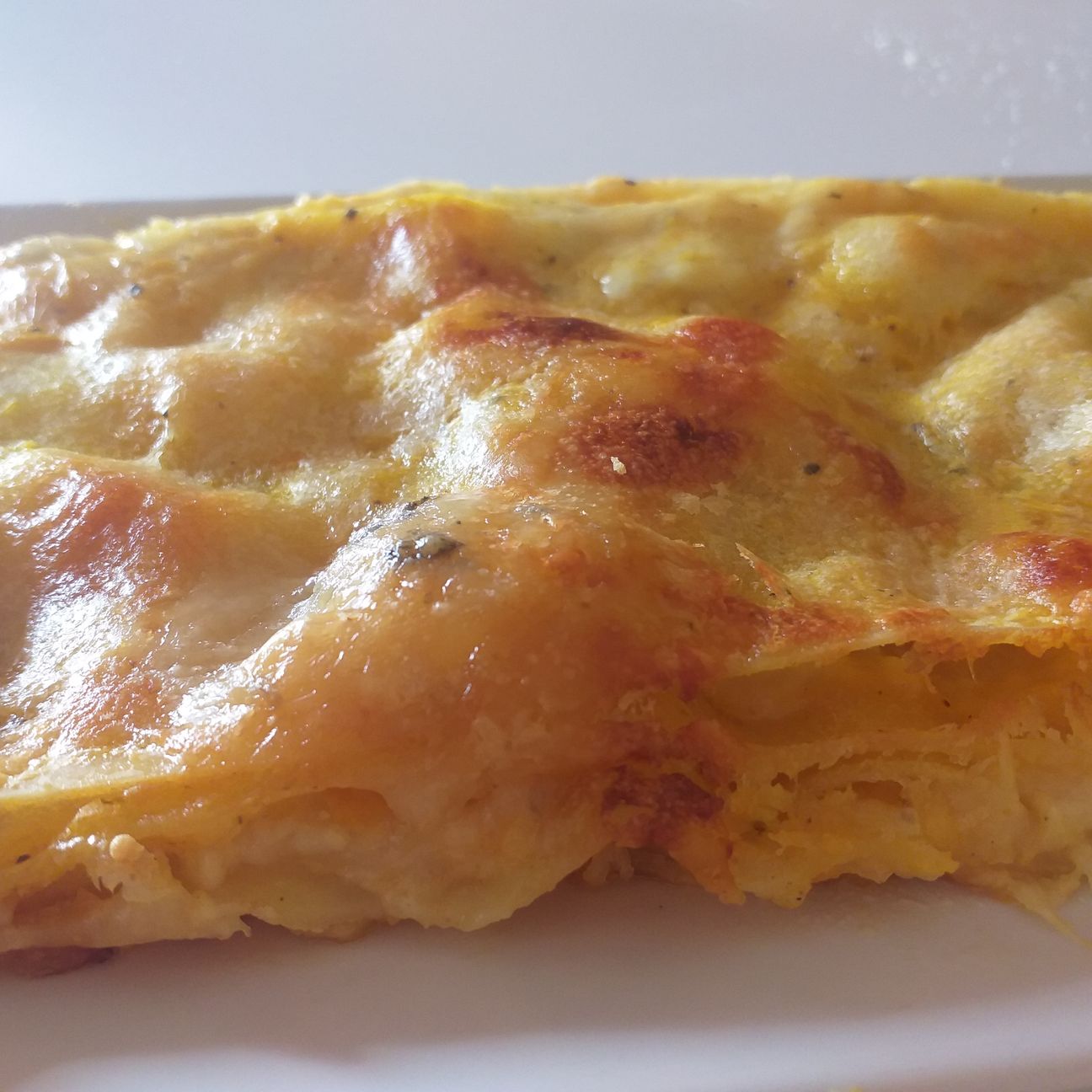 LASAGNA,ZUCCA E GORGONZOLA