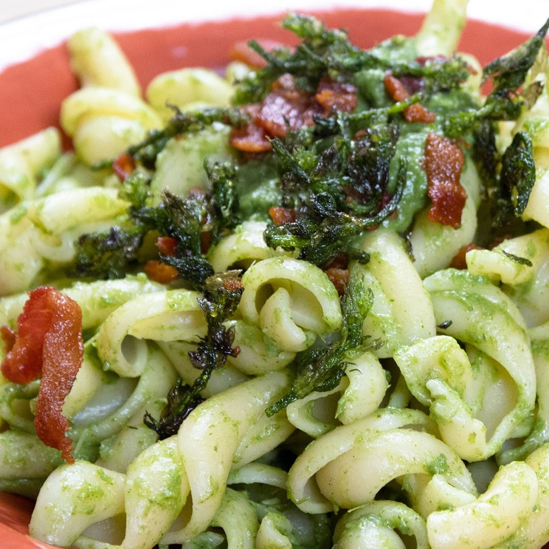Caserecci con pesto di Bruscandoli e guanciale croccante