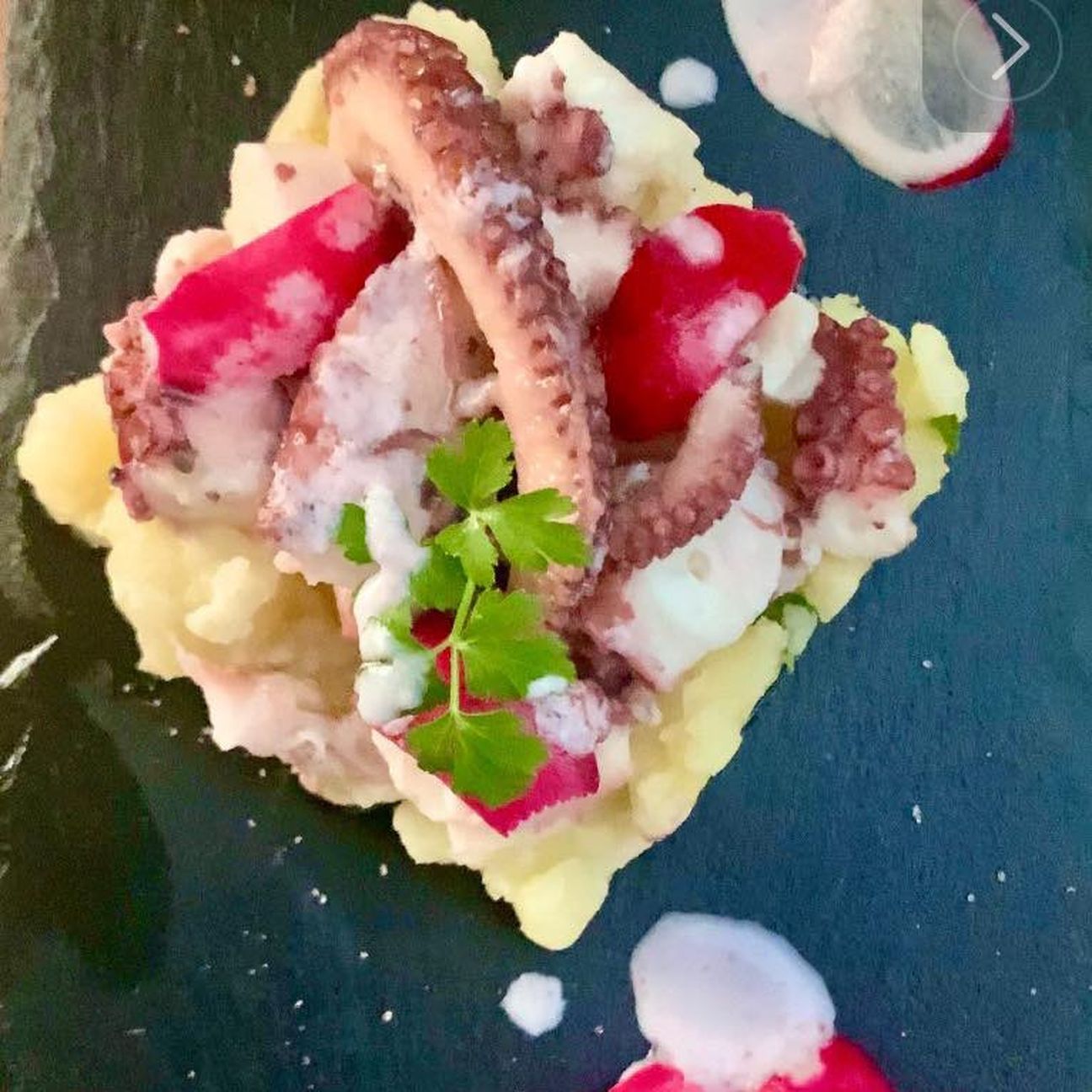 Insalata di polipo con crema di ravanello
