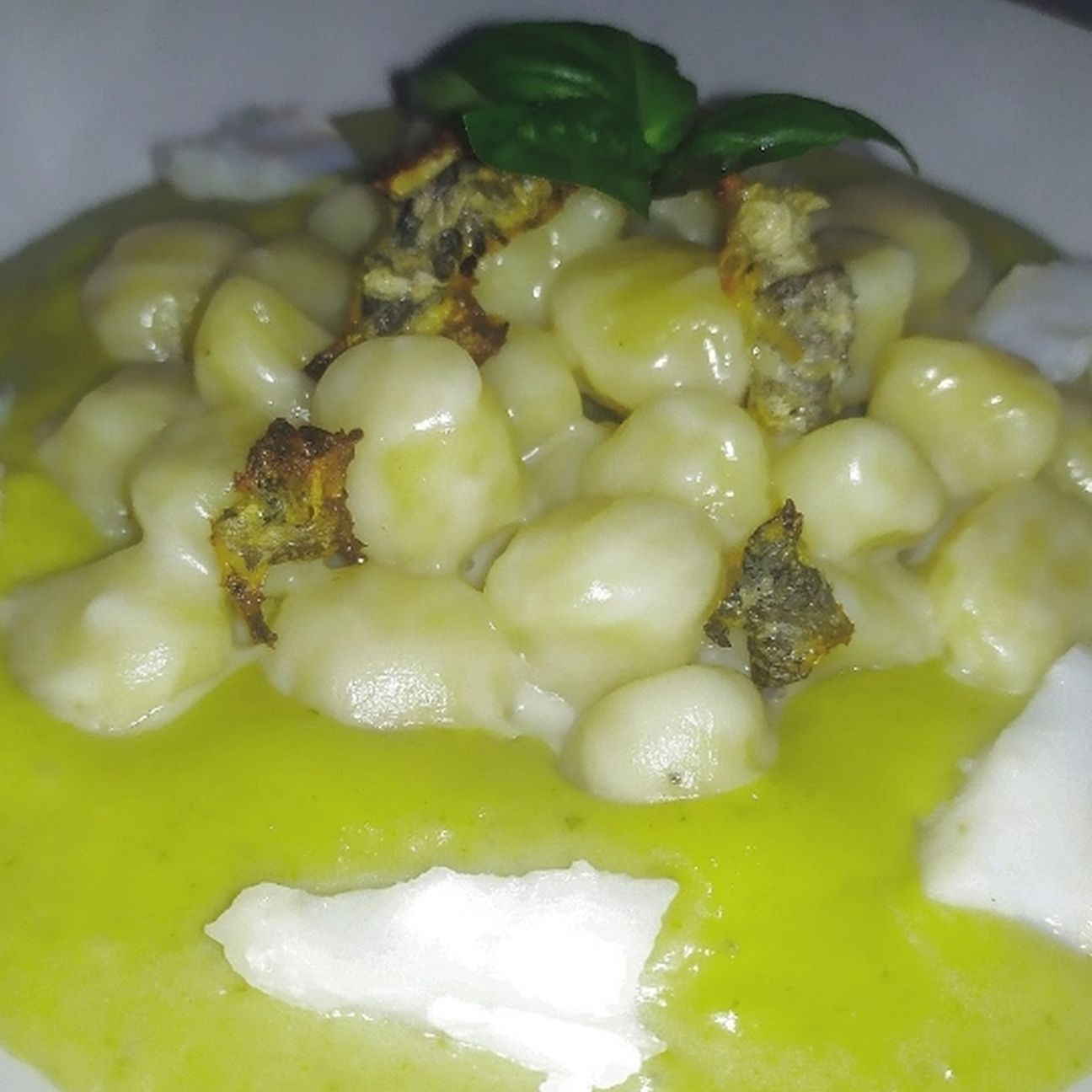 Gnocchi al baccalà mantecati alla crema di pecorino su crema di zucchine