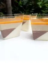 Ricetta Panna cotta con salsa al caramello