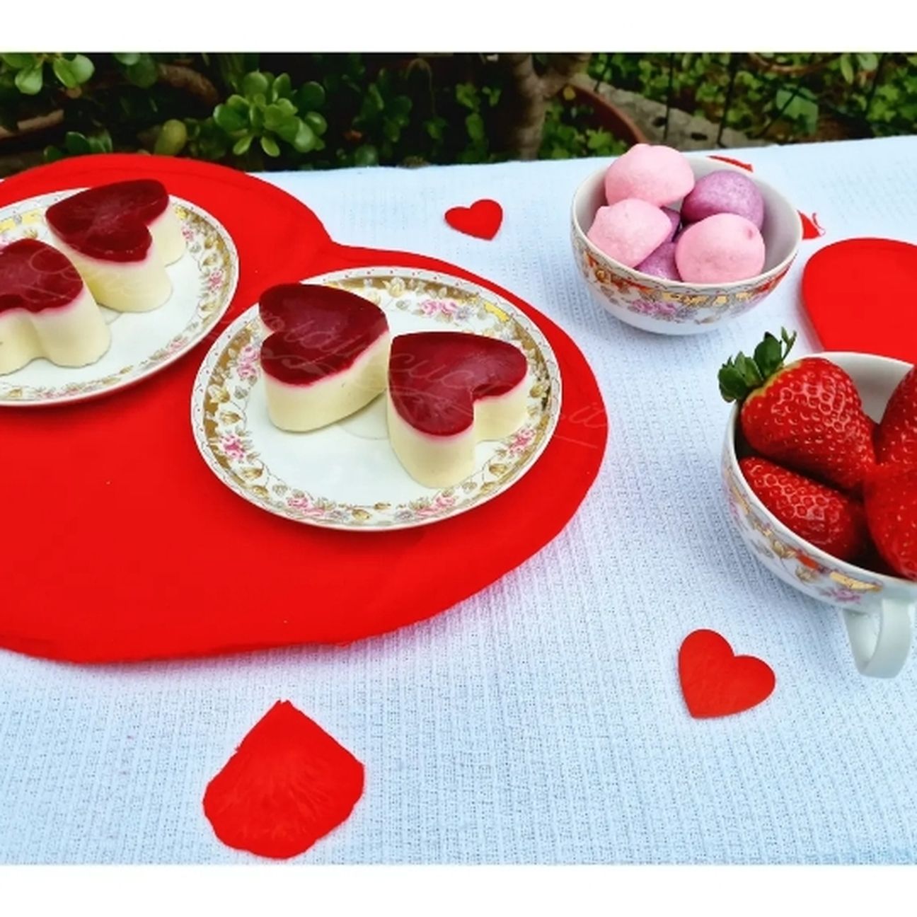 Panna cotta ai frutti rossi