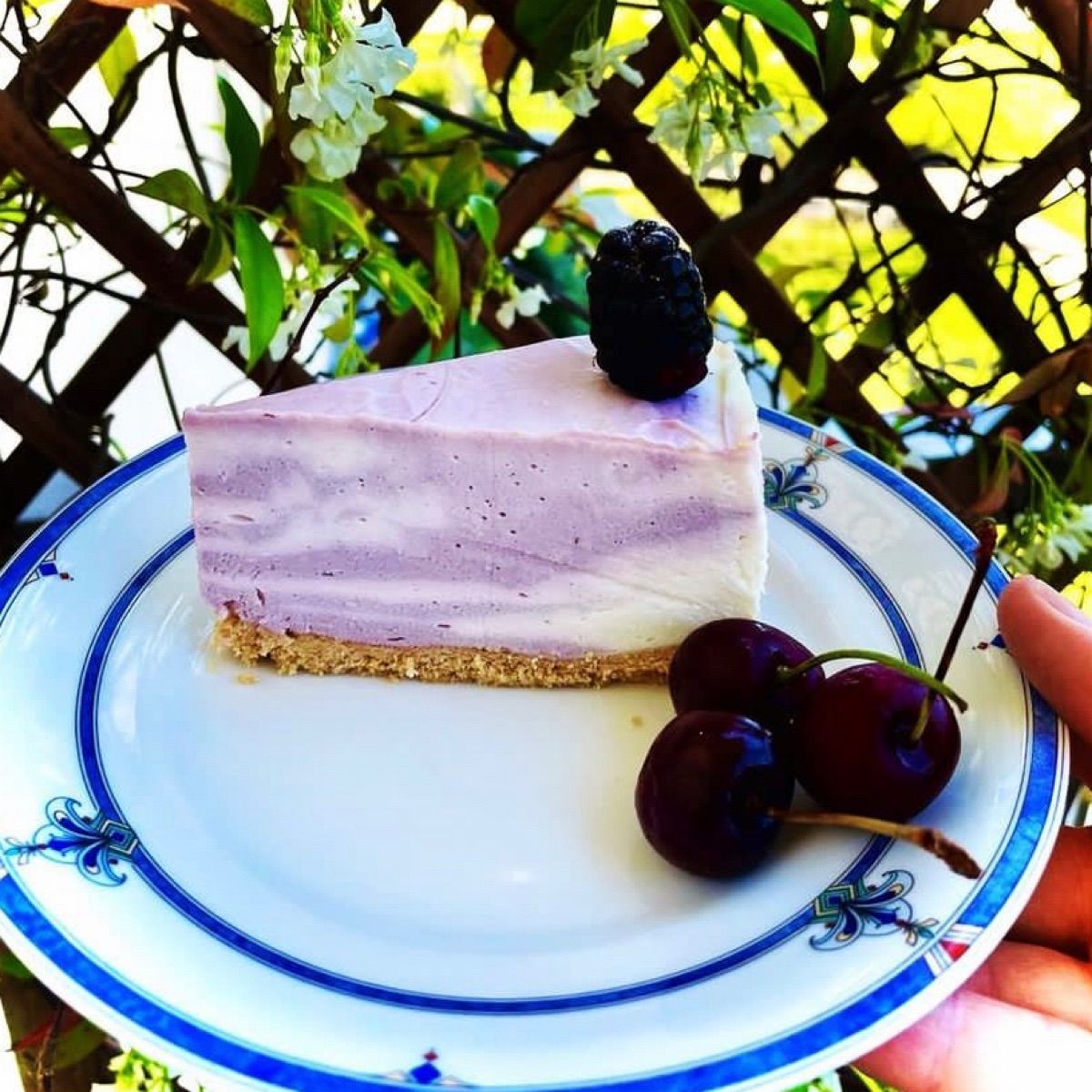 Cheescake alle more
