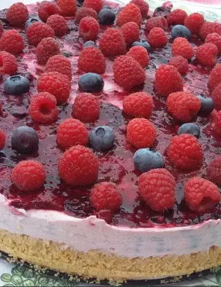 Ricetta Torta allo yogurt senza cottura di serenadulisse