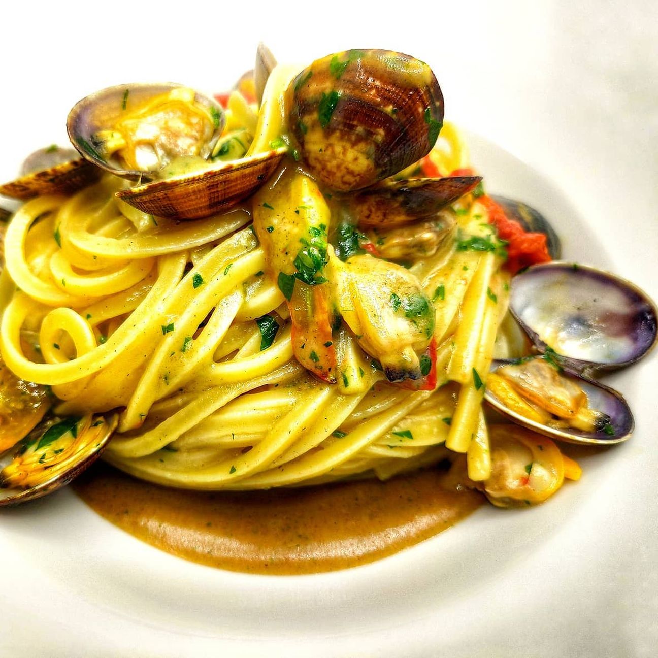 Spaghettone alle vongole e salsa di pane