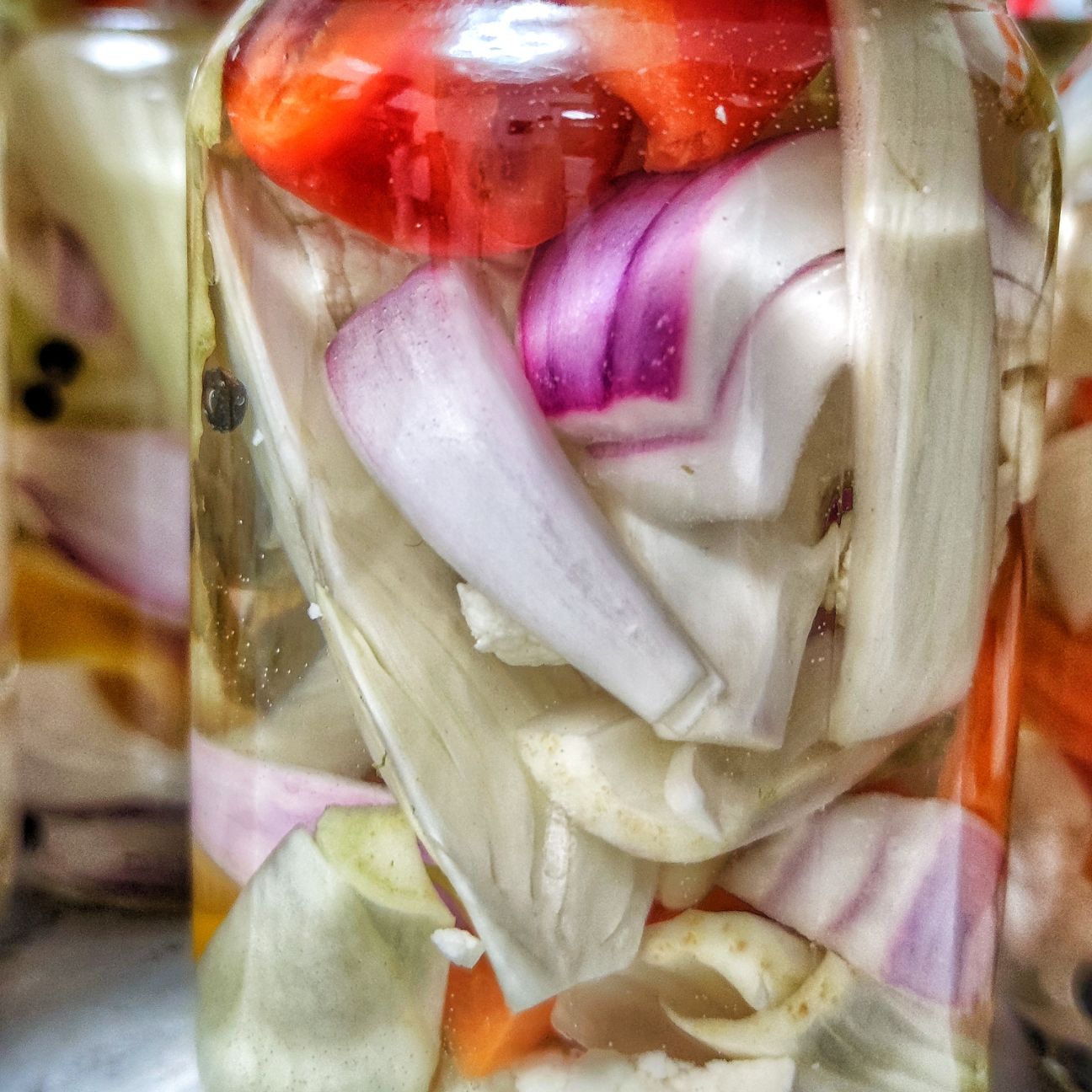 Giardiniera cbt