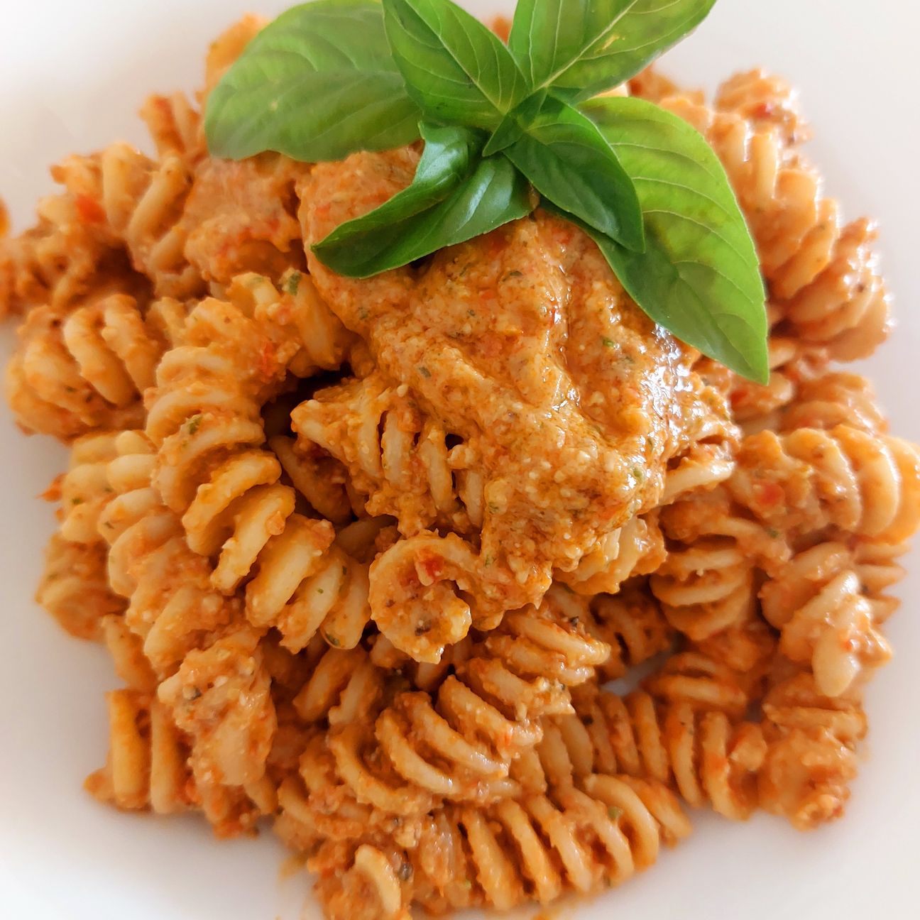 Pasta fredda al pesto di fiori di zucca