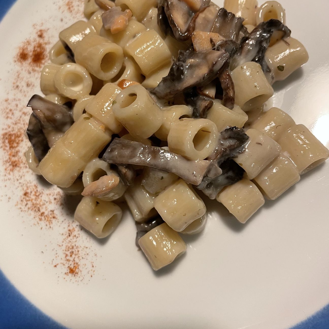 Ditaloni funghi, salmone, besciamella, paprika dolce