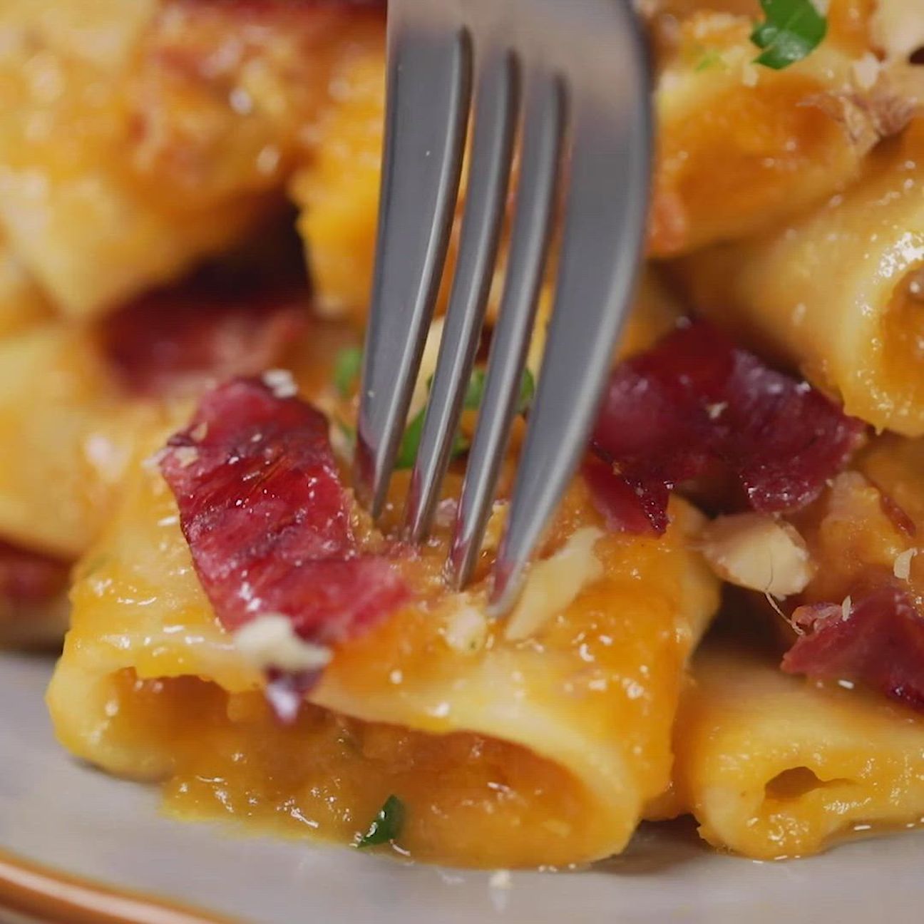 Calamarata alla crema di zucca con funghi, speck e noci