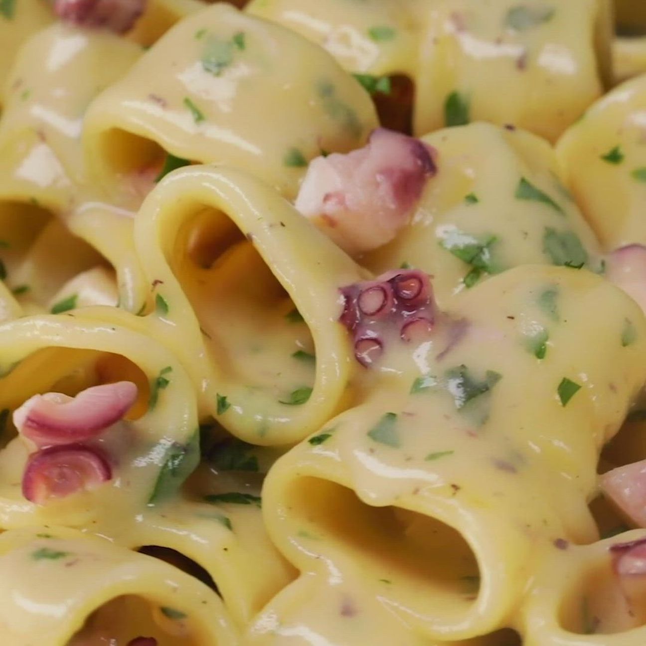 Pasta alla crema di patate e pecorino con polpo