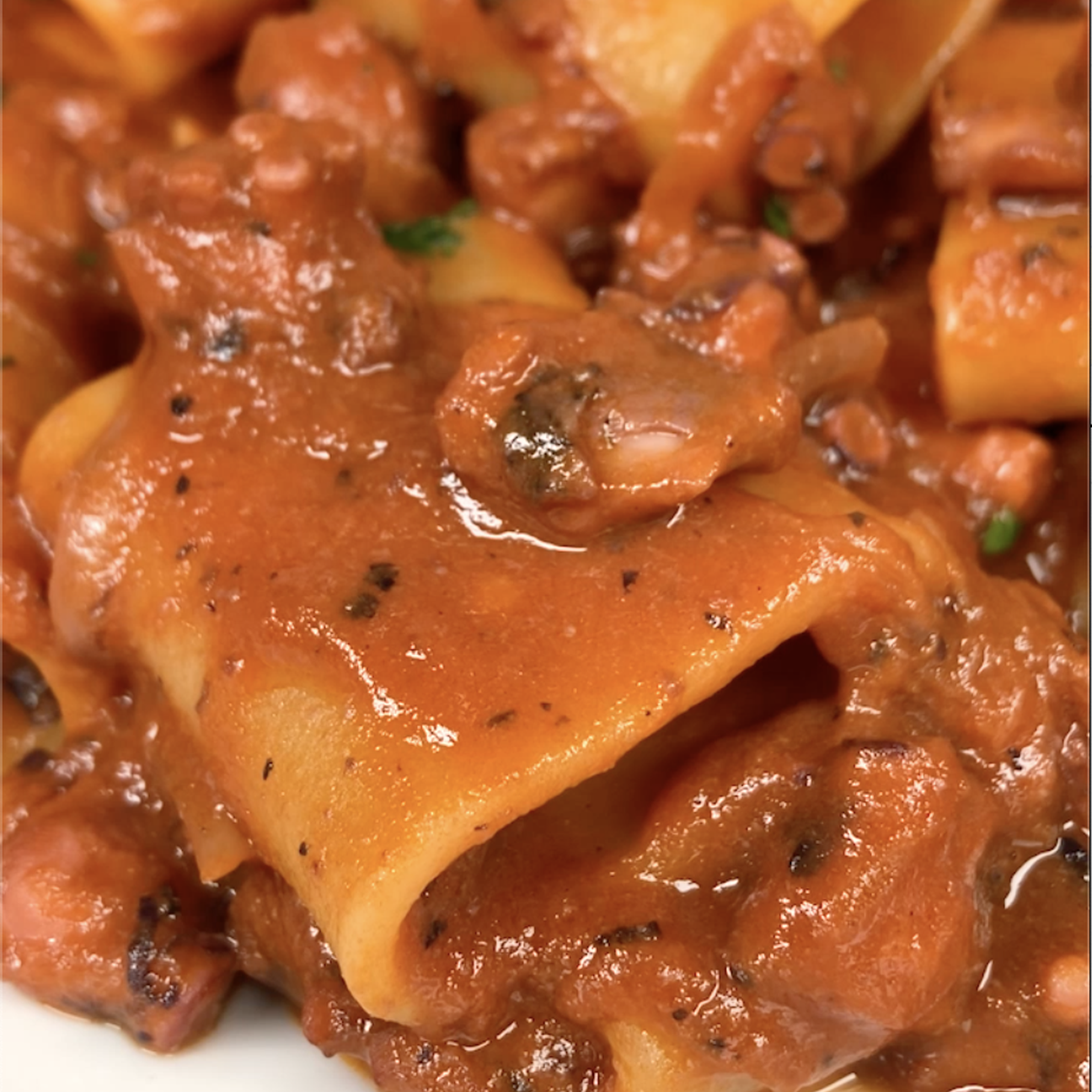 Schiaffoni al Ragù di Polpo