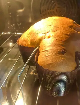 Ricetta Colomba cioccolato fondente e albicocche di _animaincucina_