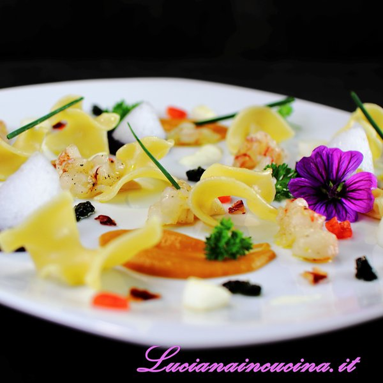 Trucioli Marchesi a colori