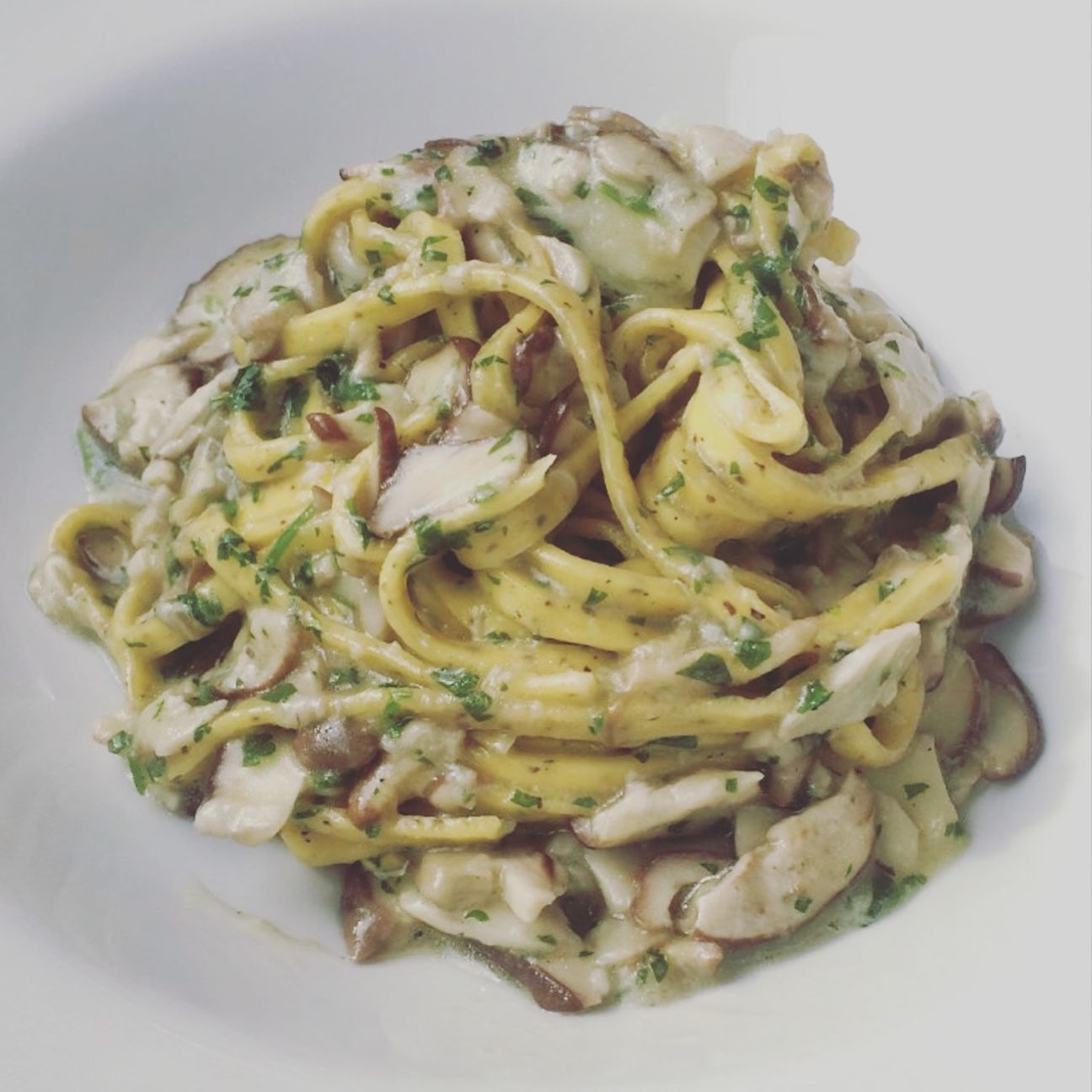 Tagliatelle al grano saraceno fatte in casa ai funghi porcini