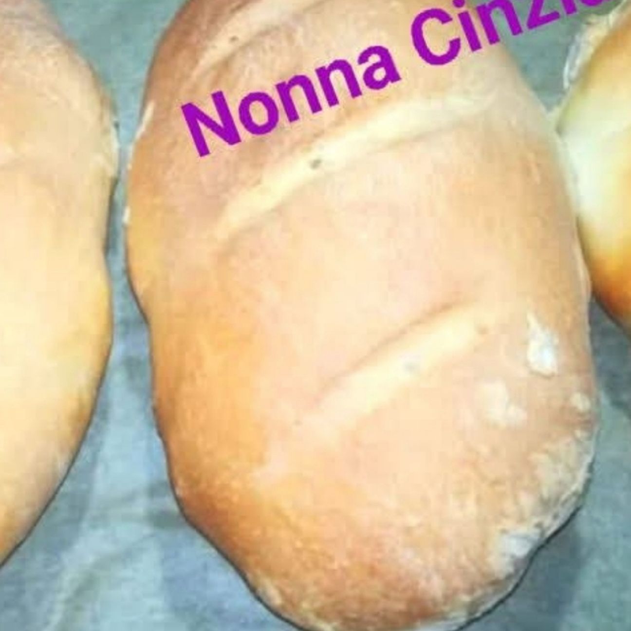 Filone di pane