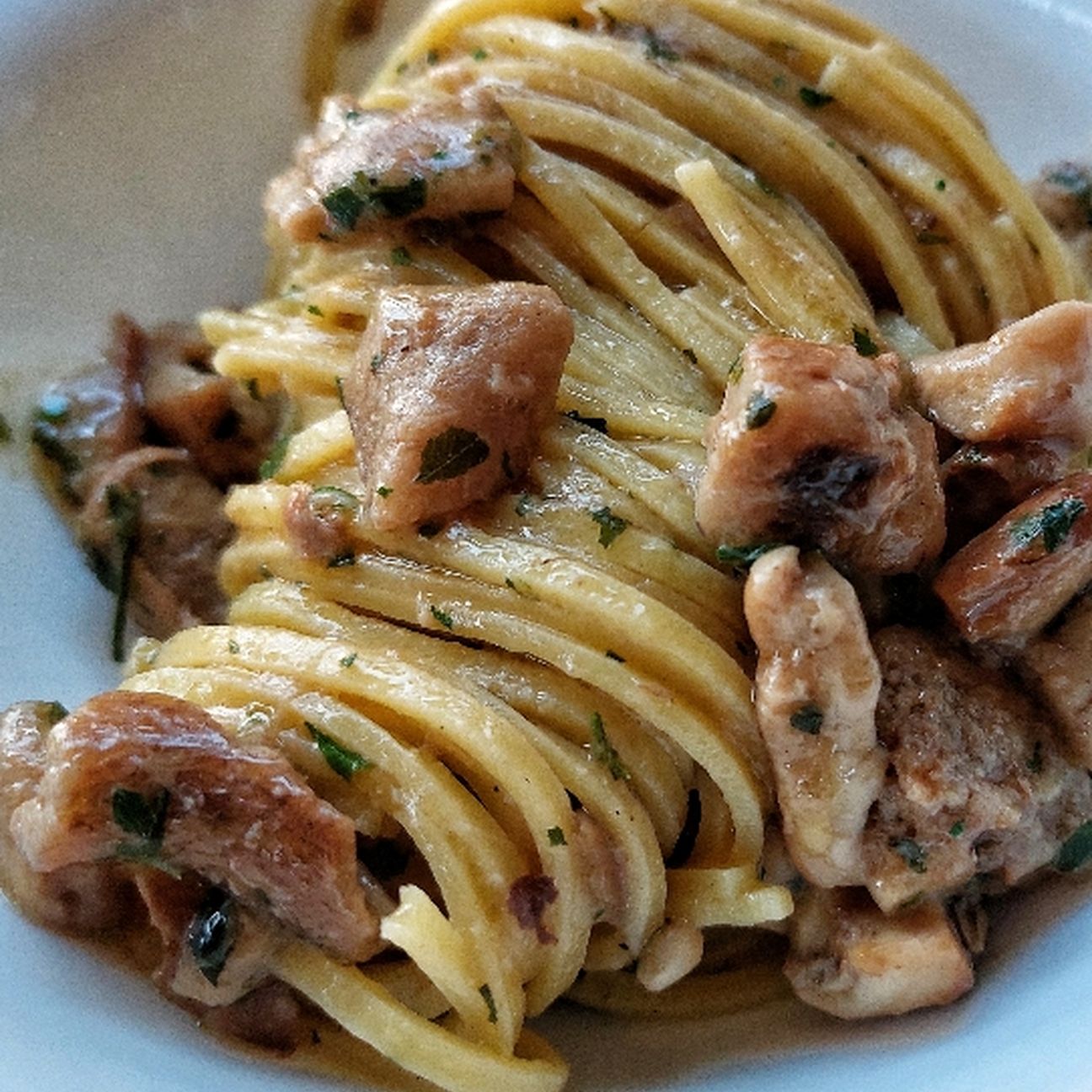 Tagliolino con porcini