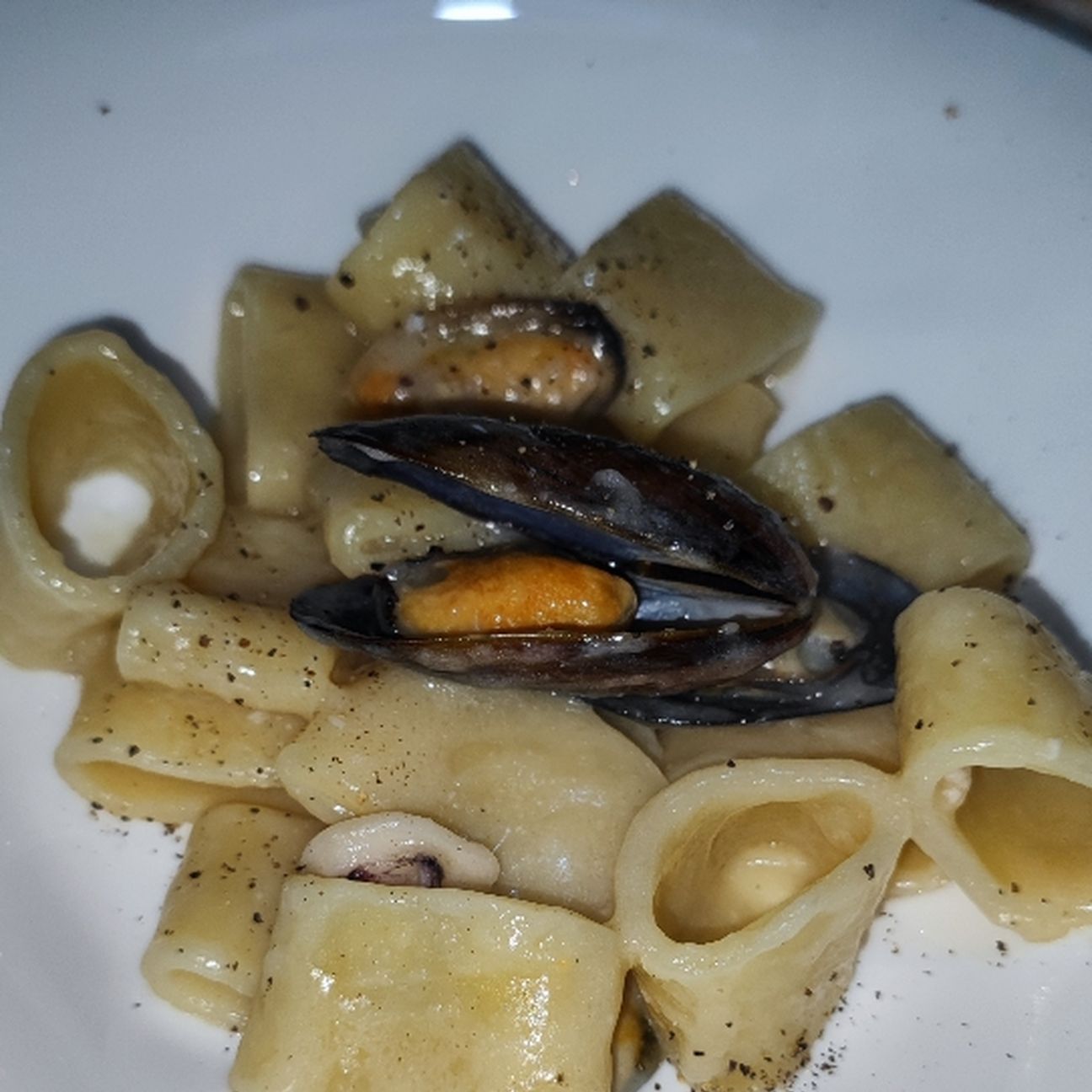 Calamarata,cozze e crema di cannellini al pecorino.