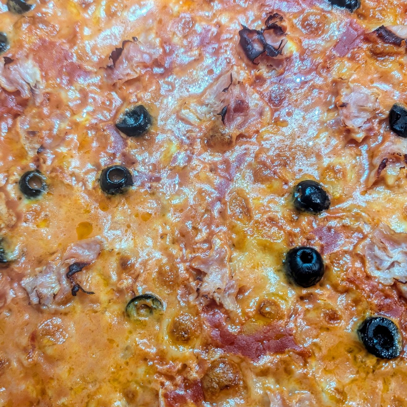Pizza (8 ore di lievitazione)