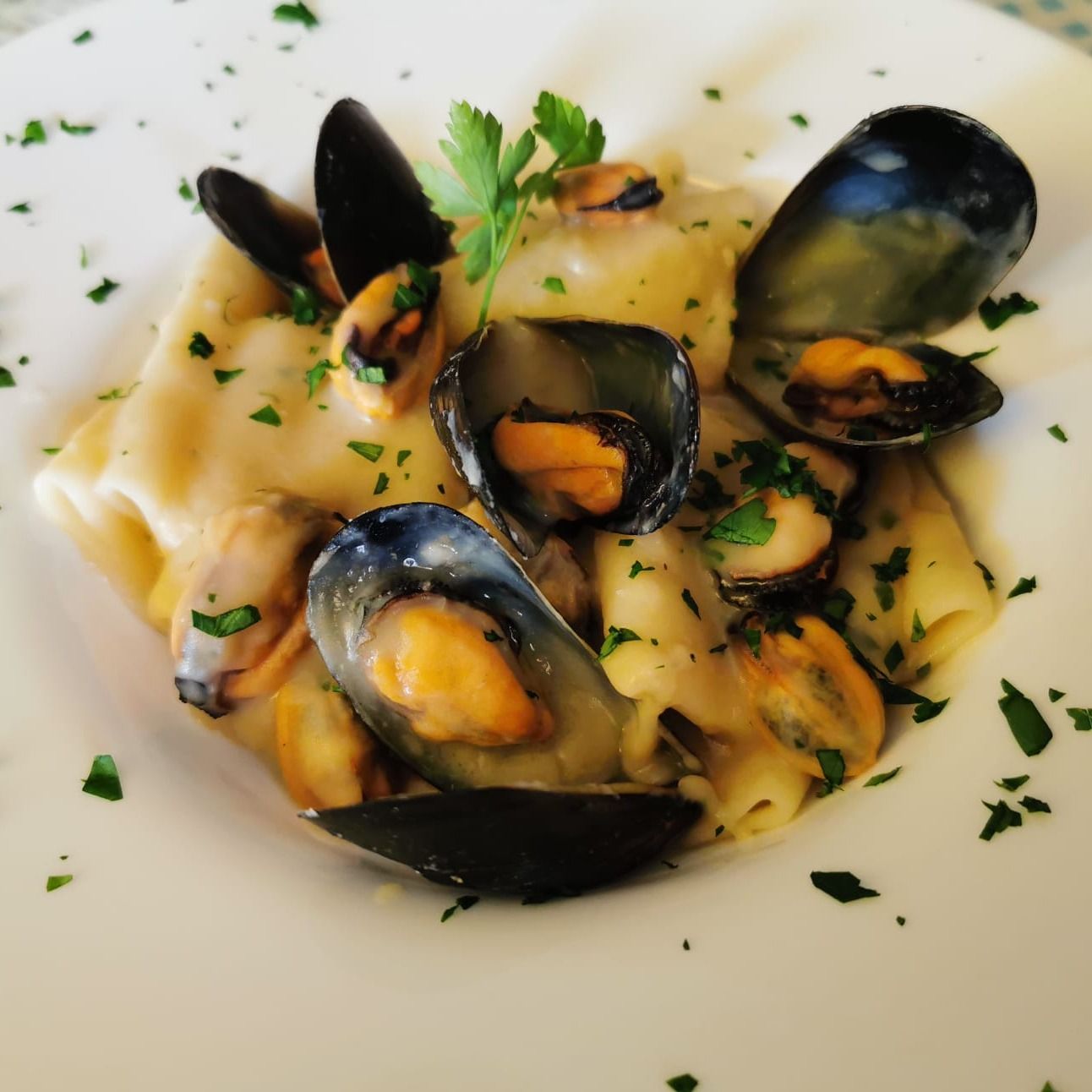 Paccheri con cozze e crema di Cannellini