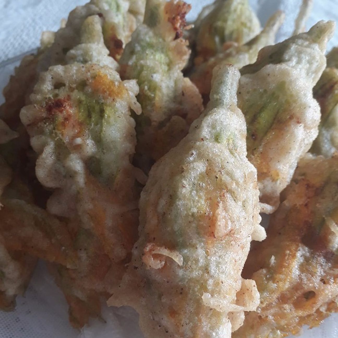 Fiori di zucca ripieni