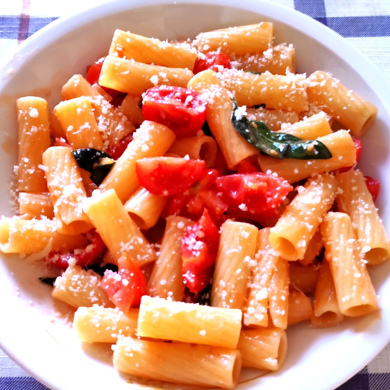 Rigatoni con pomodorini crudi, basilico e parmigiano