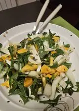 Ricetta Insalata di cachi, rucola e finocchi