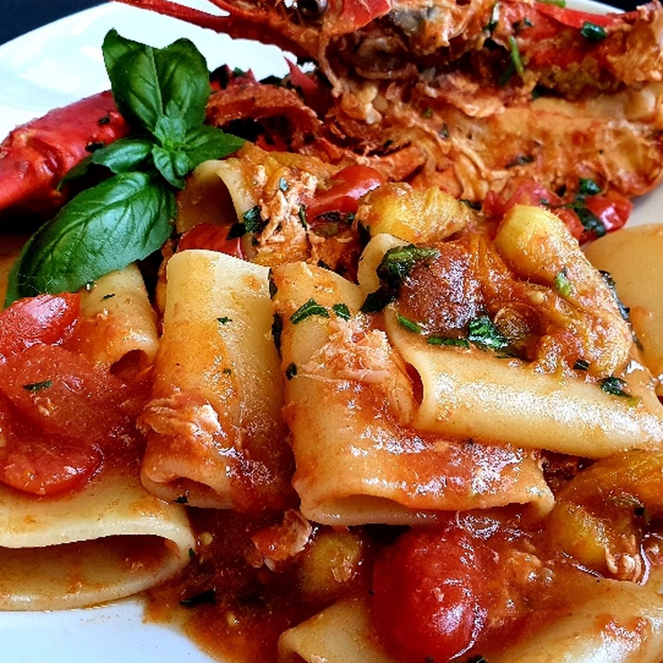 Paccheri all'astice