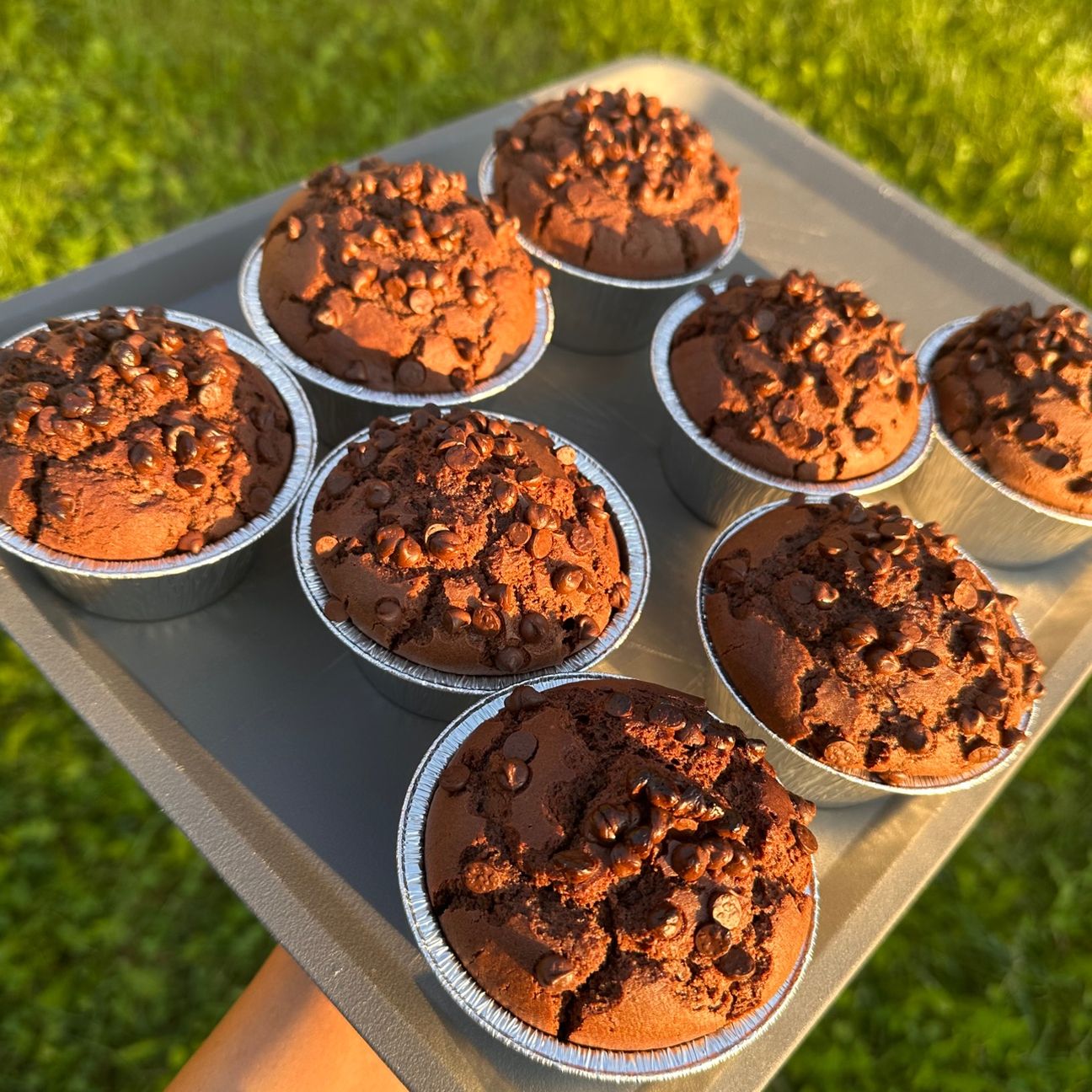Muffin vegani al cioccolato