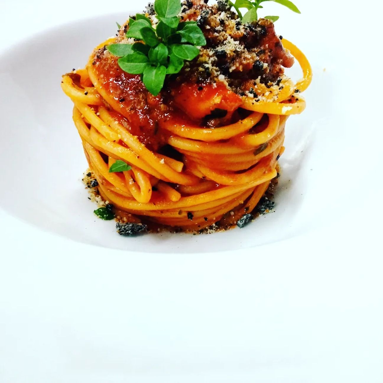 Chitarra al ragù di polpo e mollica al nero di seppia